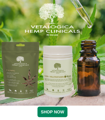 Hemp Products for Pets