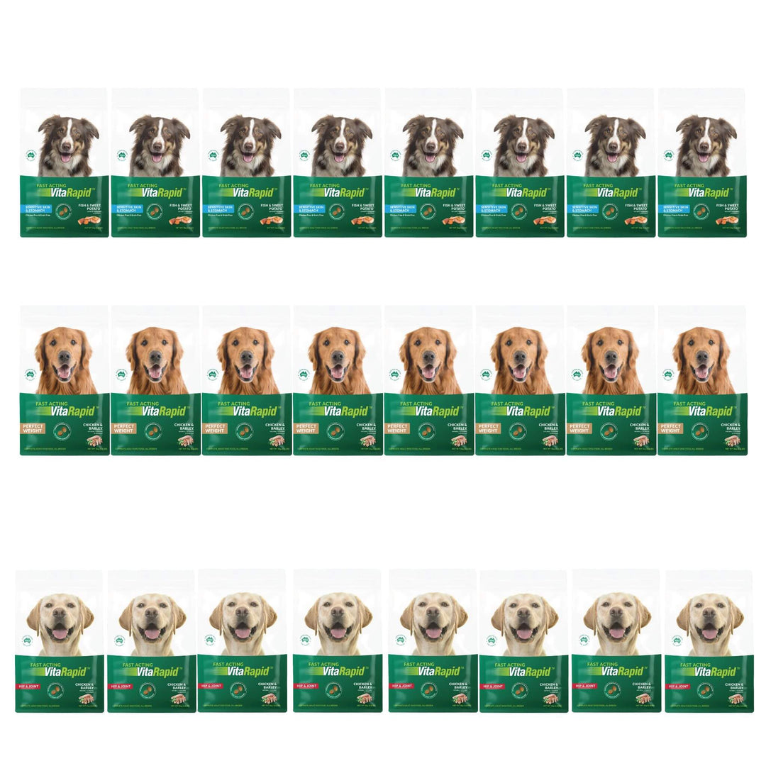 24 x 100g VitaRapid Science Dog Food SAMPLES (MIXED)