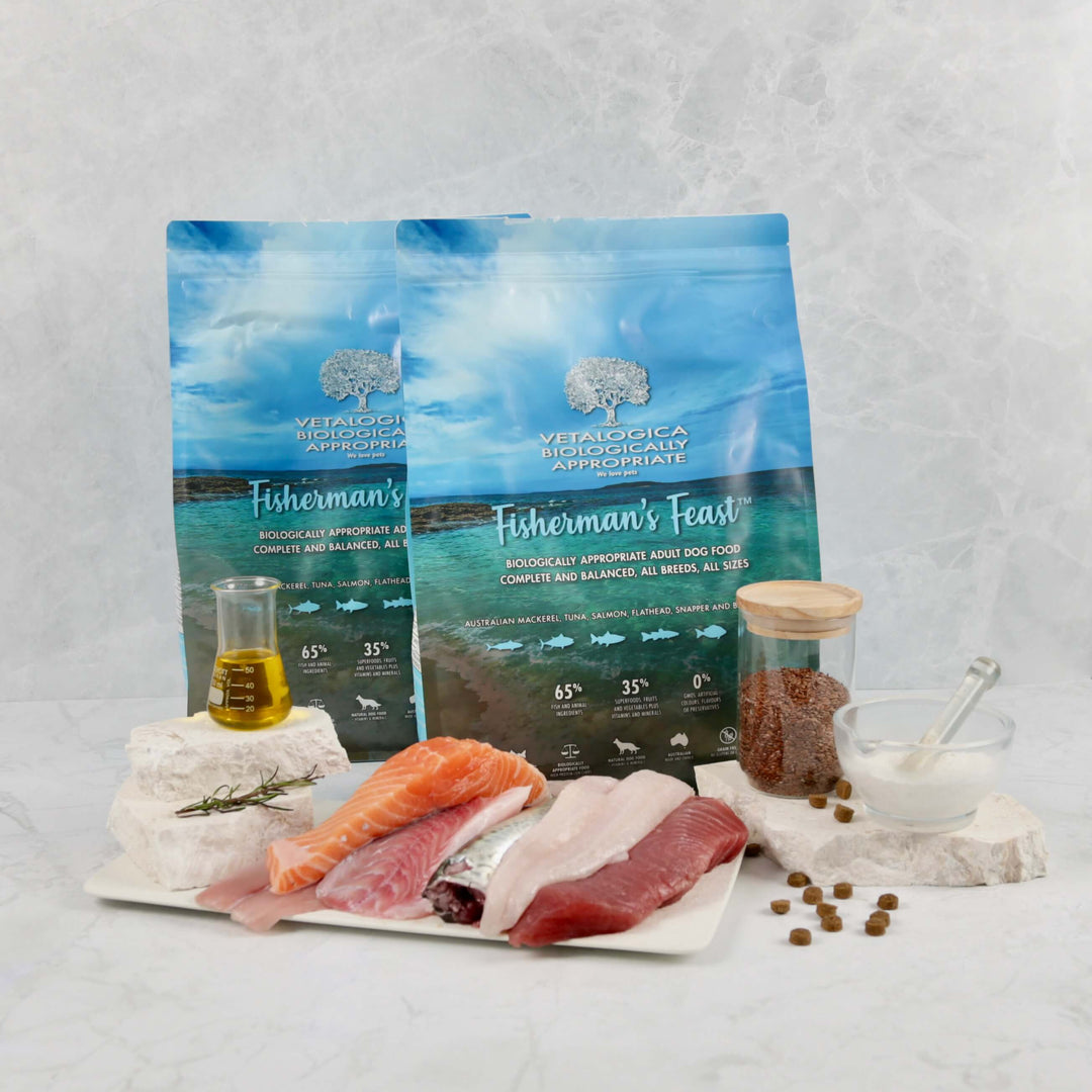 Bundle Pack of 2 x Biologically Appropriate Fisherman's Feast Dog Food 3kg