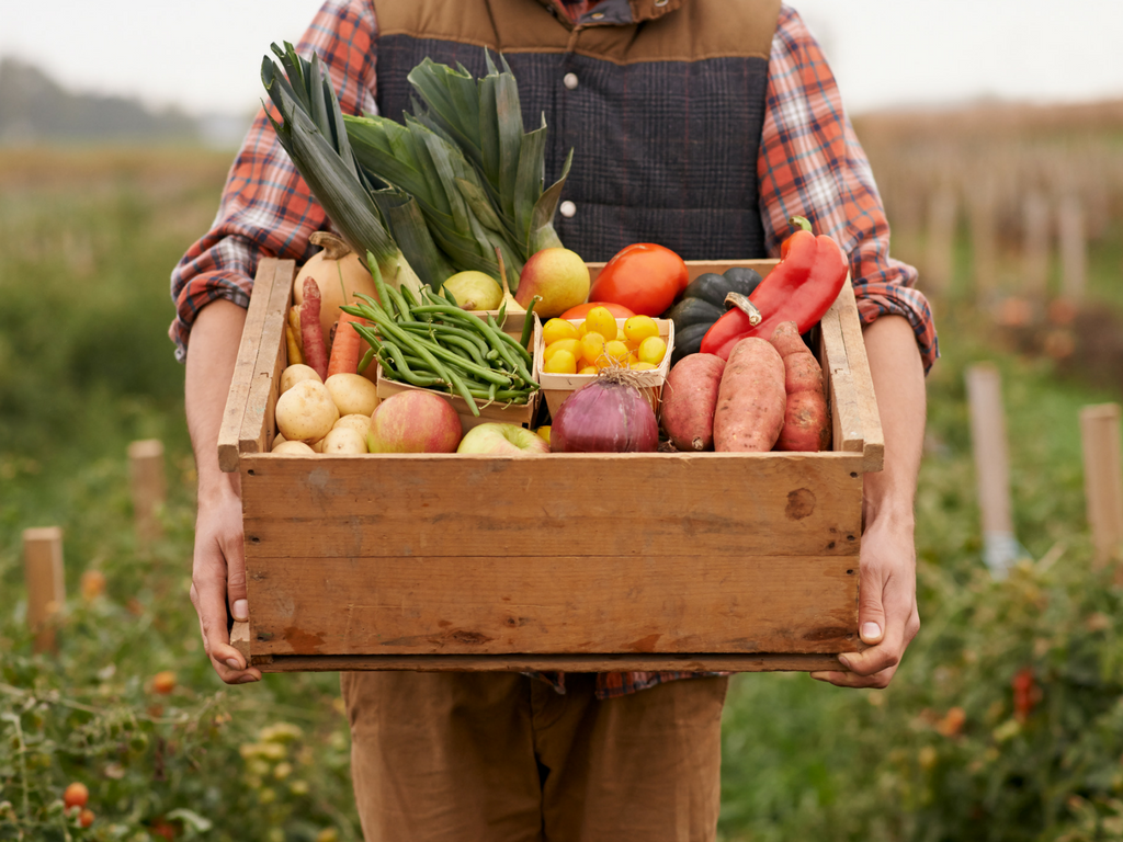 Why Grain Free Pet Foods?