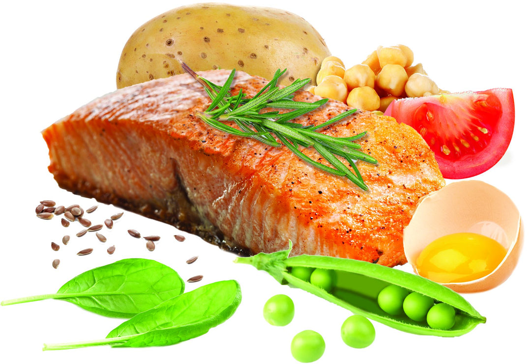 Let's Talk Salmon For Pets