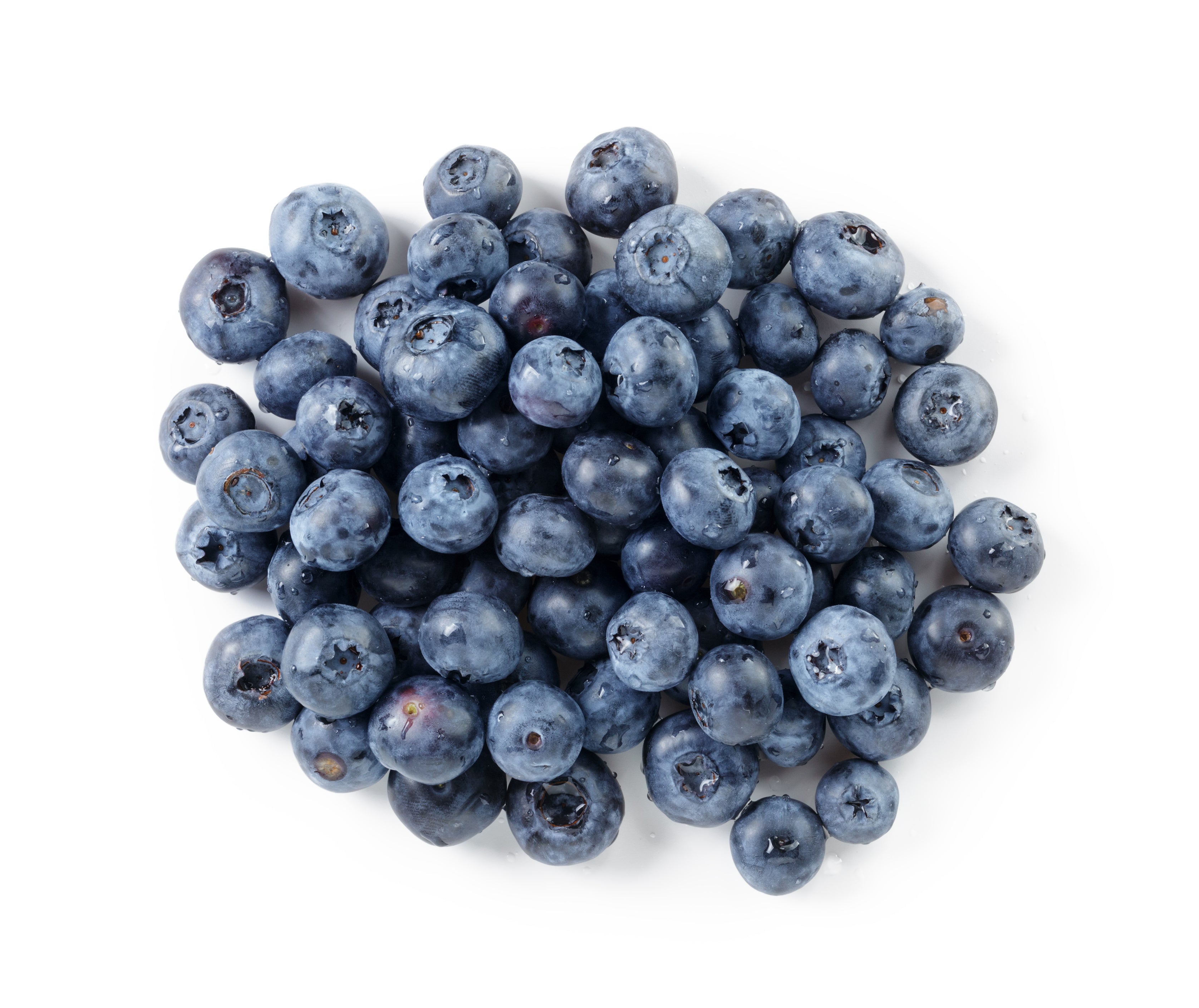 Blueberries For Pets