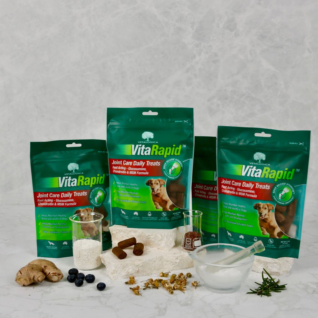 VitaRapid Fast Acting Treats for Dogs
