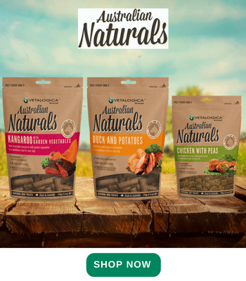 Natural Treats for Pets