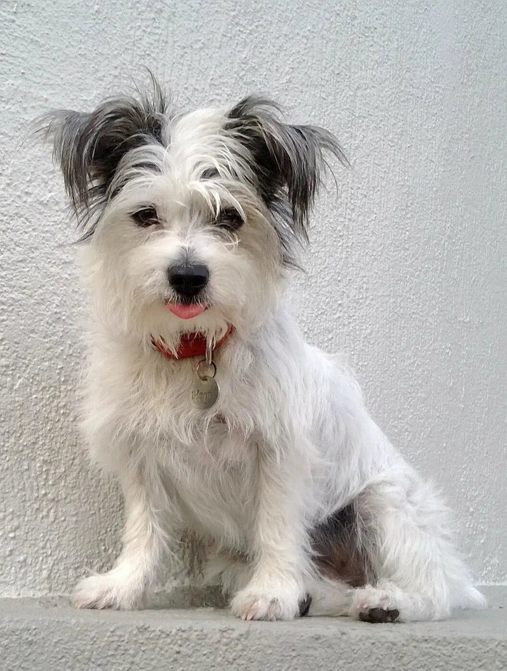 Nearly 10. Still Looking Amazing.