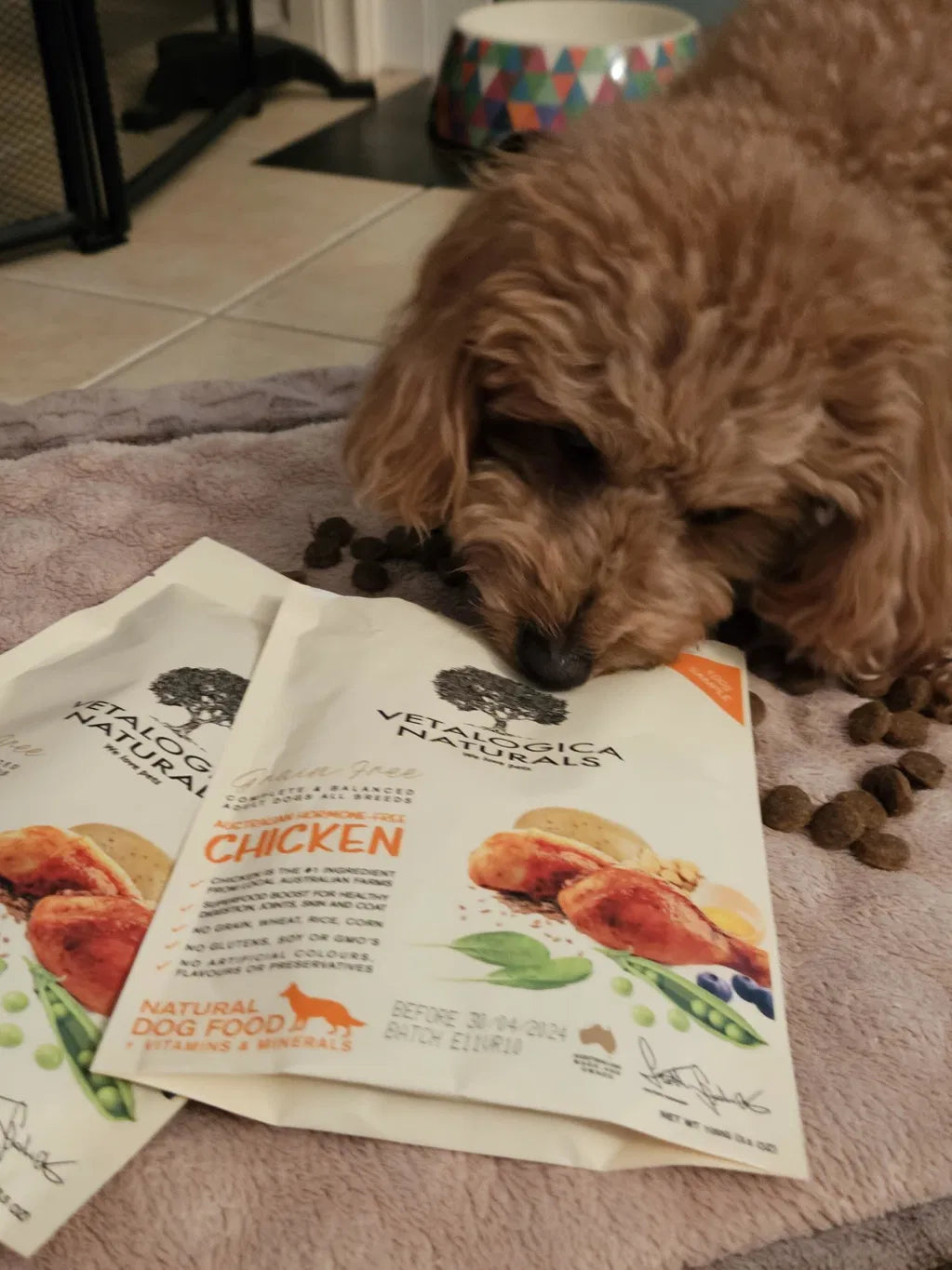 Her Fussy Pup Actually Enjoyed It