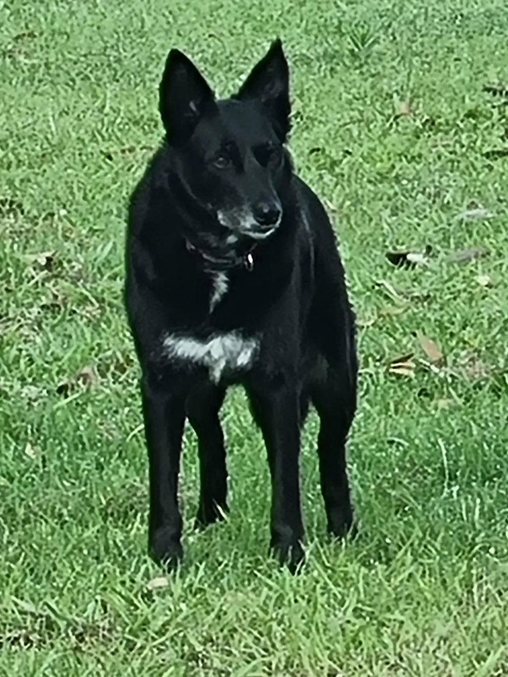 At 11, She's Still Looking & Moving Years Younger.