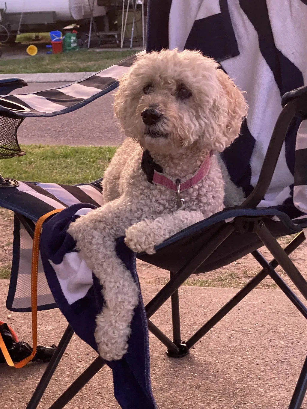 14 Years Old — And Shani Is Still Loving Life.