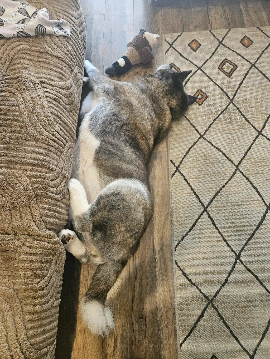 From Terrified By Thunder To Sleeping Through It.