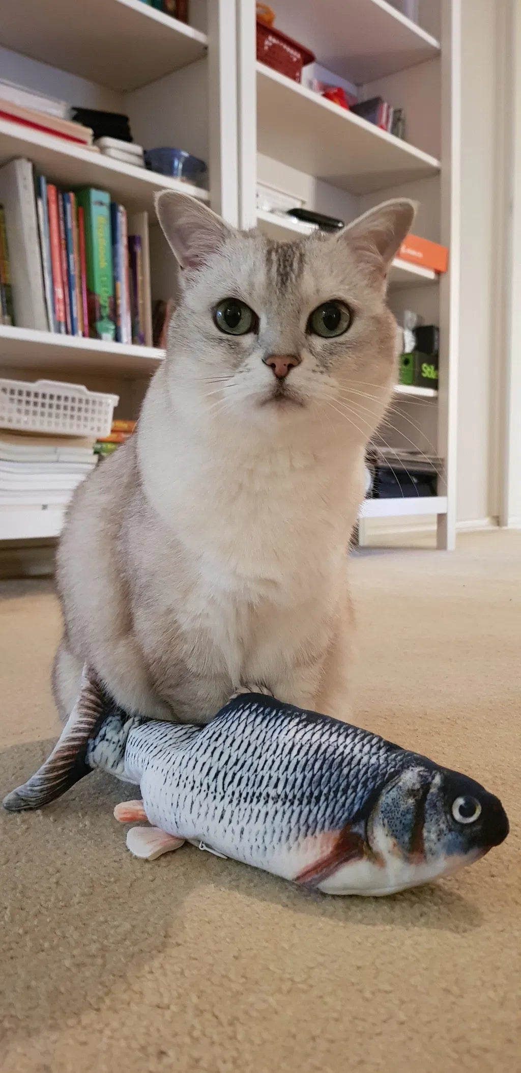 17 Years Old & Still Going Strong