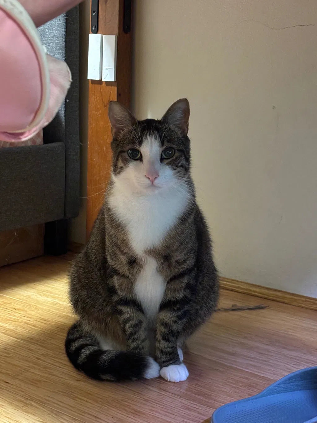 His Weight Has Stayed Steady For 3 Months.