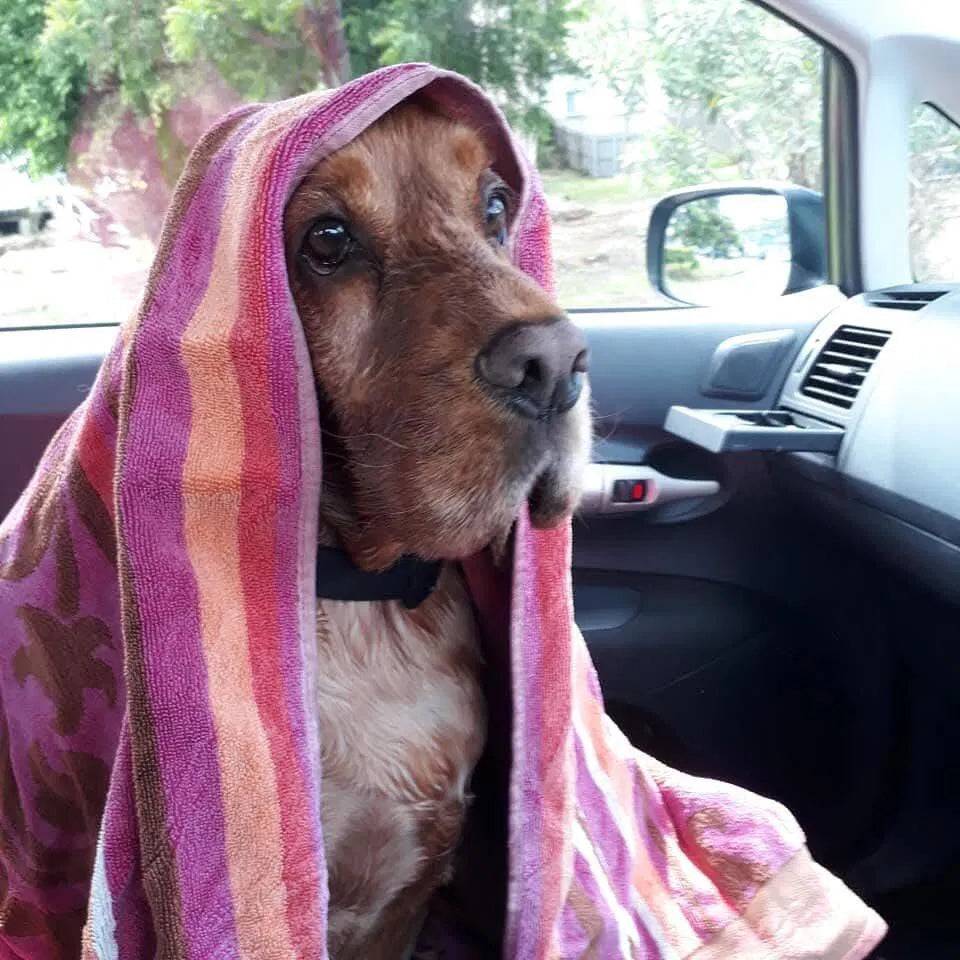 Helping Him Stay Calm After Losing His Sight.