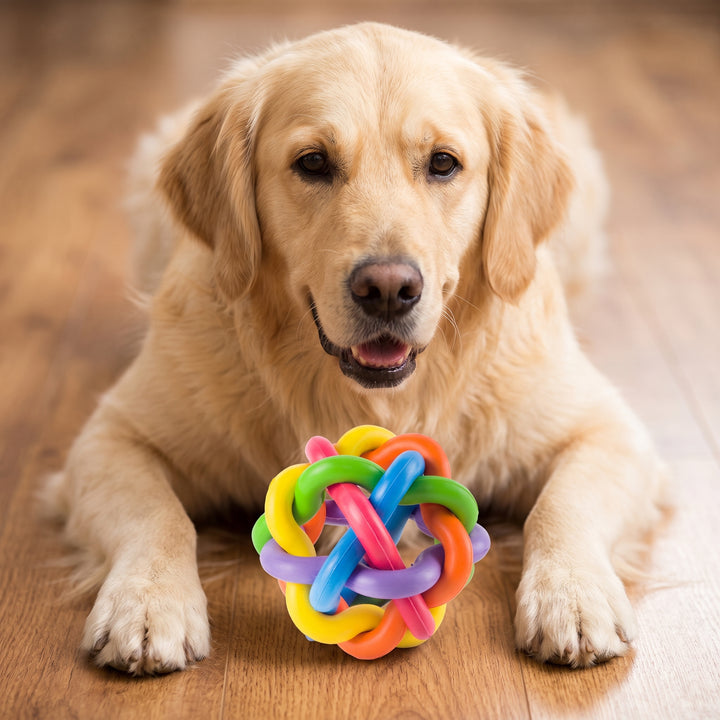 Twist-A-Ball Dog Toy