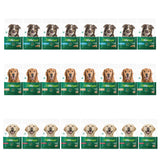 24 x 100g VitaRapid Dog Food SAMPLES