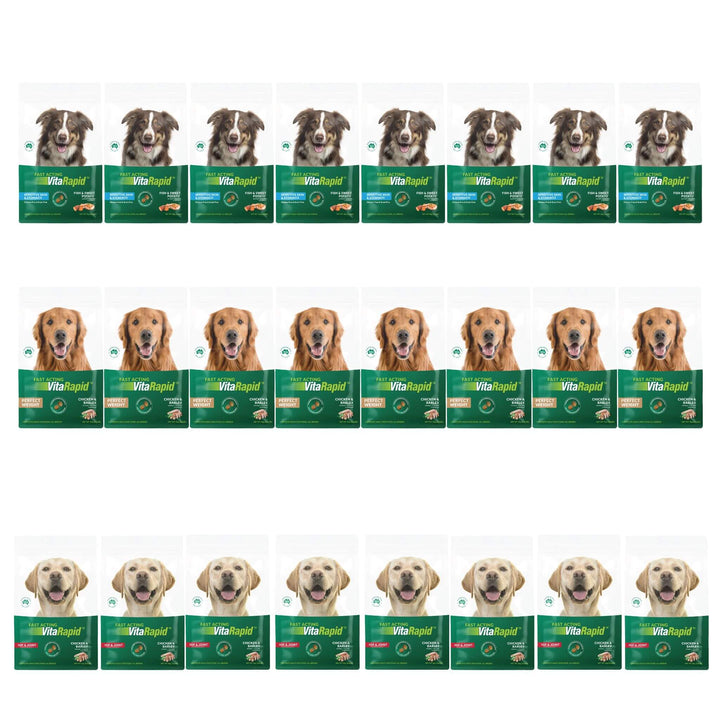 24 x 100g VitaRapid Science Dog Food SAMPLES (MIXED)