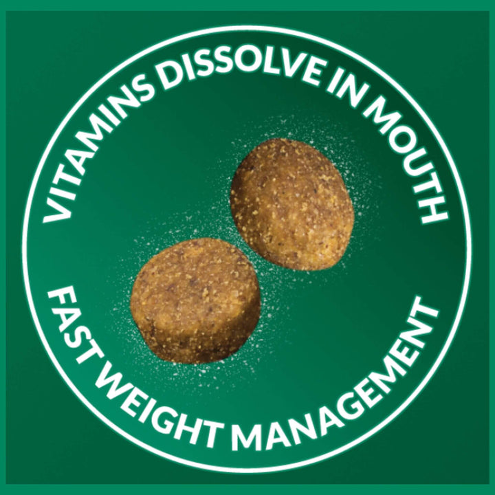4 x 100g VitaRapid Science Perfect Weight Adult Cat Food SAMPLES