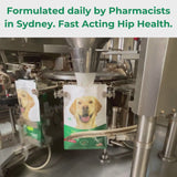 4 x 100g VitaRapid Science Hip & Joint Adult Dog Food SAMPLES