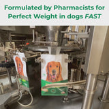 4 x 100g VitaRapid Science Perfect Weight Adult Dog Food SAMPLES