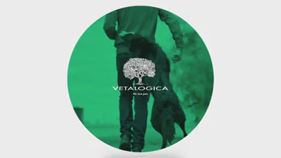 Bundle Pack of 3 x Vetalogica Biologically Appropriate Dog Food 3kg (MIXED)