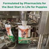 4 x 100g VitaRapid Science Puppy Food SAMPLES