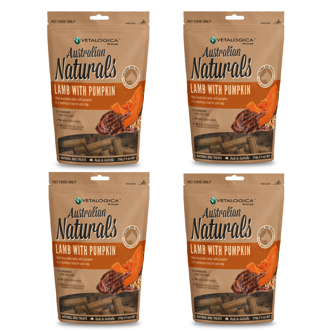 Bundle Pack of 4 x Australian Naturals Lamb with Pumpkin Treats for Dogs 210g