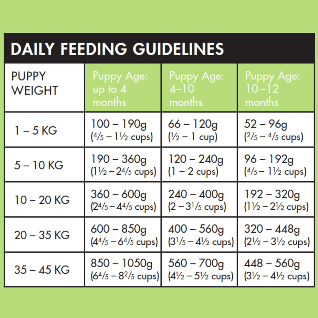 Cat Supplies How Much Great Dane Puppy Feeding Guidelines Raising
