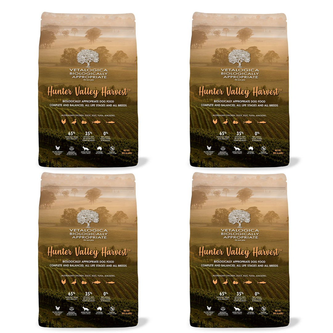 4 x 100g Vetalogica Biologically Appropriate Hunter Valley Harvest Dog Food SAMPLES