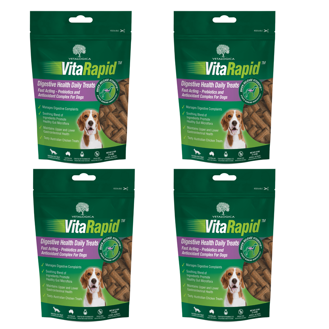 Bundle Pack of 4 x VitaRapid® Digestive Health Daily Treats for dogs 210g