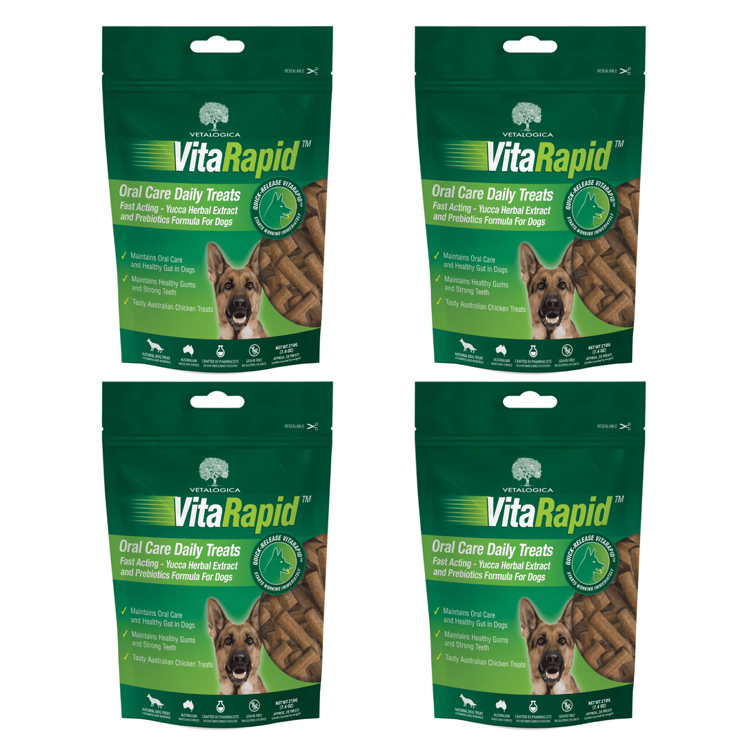 Bundle Pack of 4 x VitaRapid® Oral Care Daily Treats For Dogs 210g