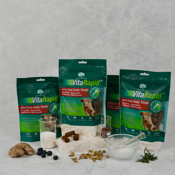 Bundle Pack of 4 x VitaRapid® Joint Care Daily Treats For Dogs - 210g
