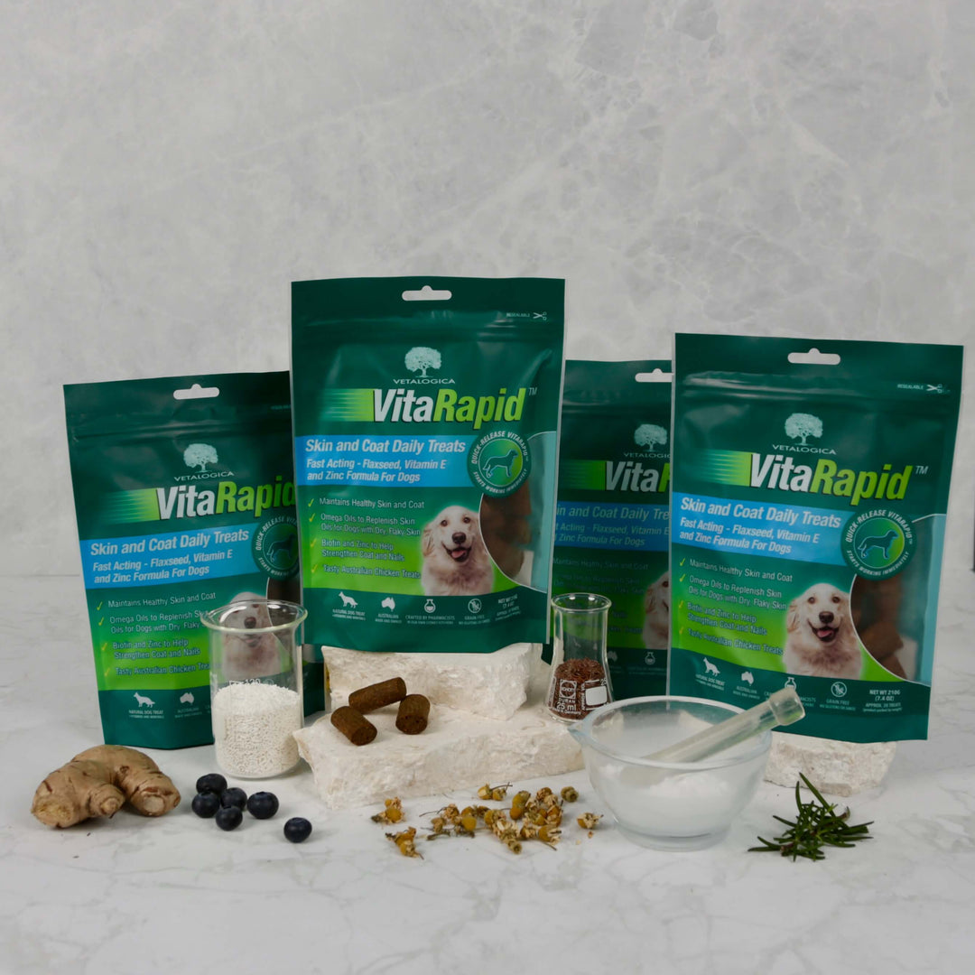 Bundle Pack of 4 x VitaRapid® Skin & Coat Daily Treats For Dogs - 210g