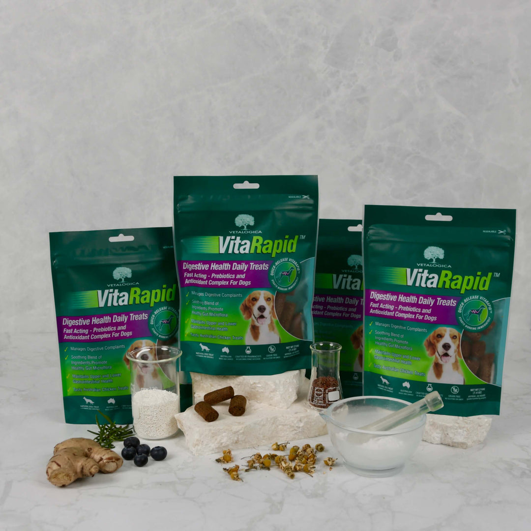 Bundle Pack of 4 x VitaRapid® Digestive Health Daily Treats for dogs 210g