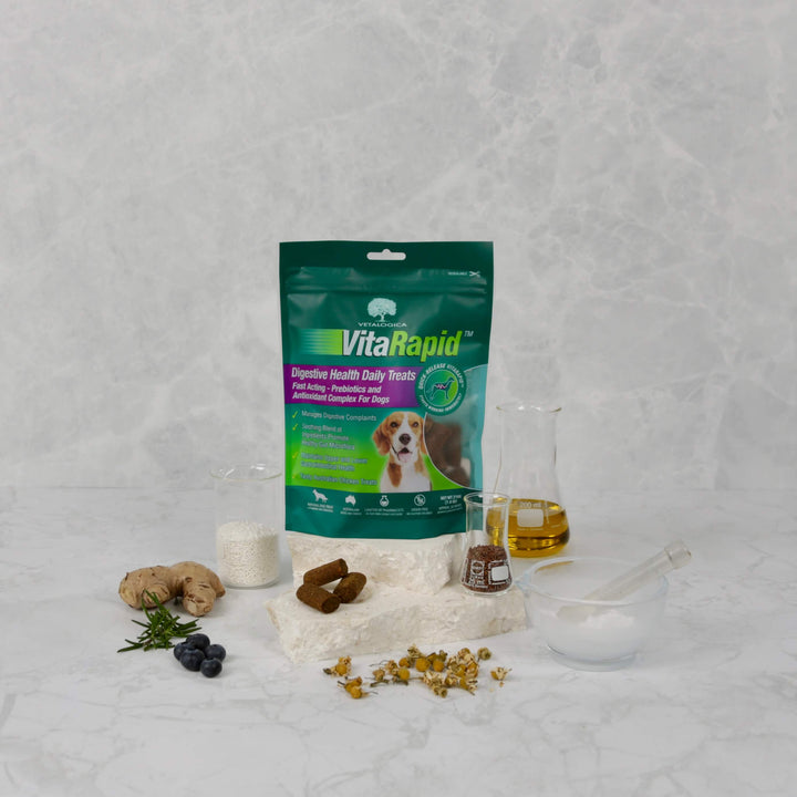 VitaRapid® Digestive Health Daily Treats for dogs 210g