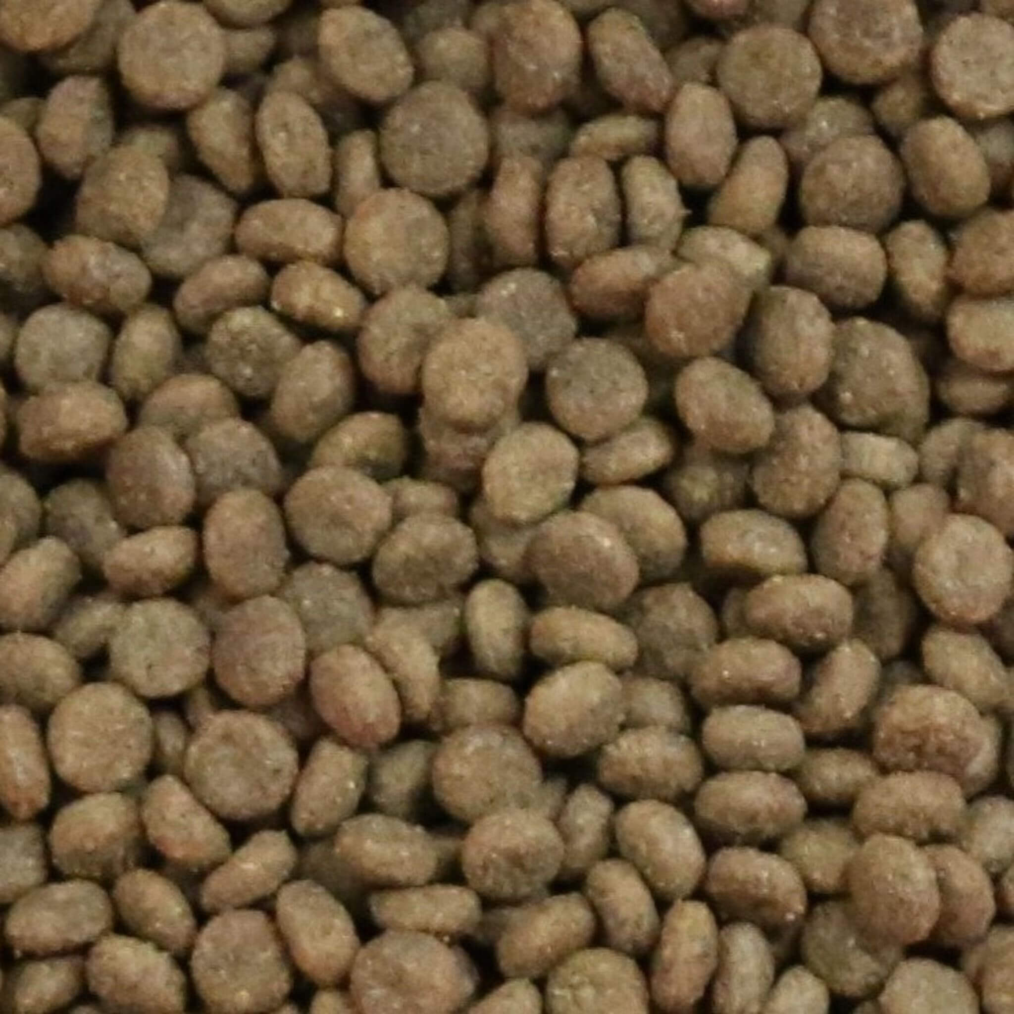 Whole earth 2025 kitten food