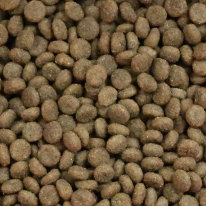 Bundle Pack of 2 x Vetalogica Naturals Grain Free Salmon Adult Dog Food 3kg